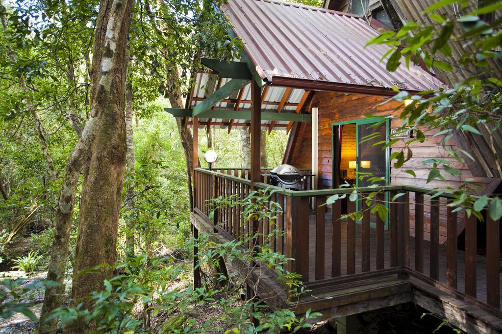 The Mouses House Rainforest Retreat Спрингбрук Экстерьер фото